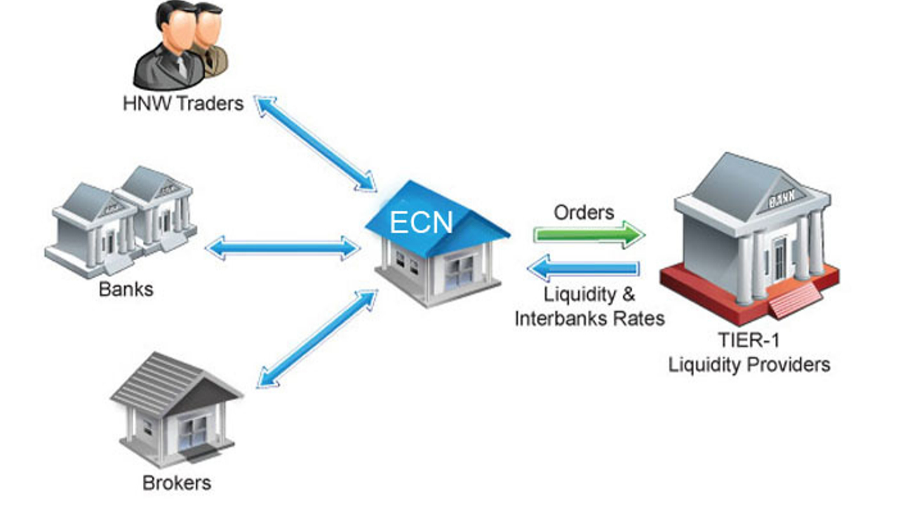 Market provider. ECN брокер. Форекс брокер ECN. ECN сети. STP брокер.